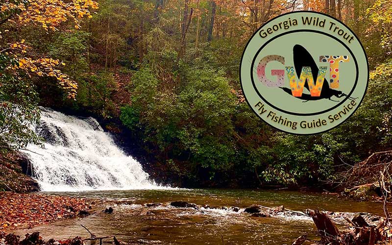 georgia wild trout fly fishing guide service